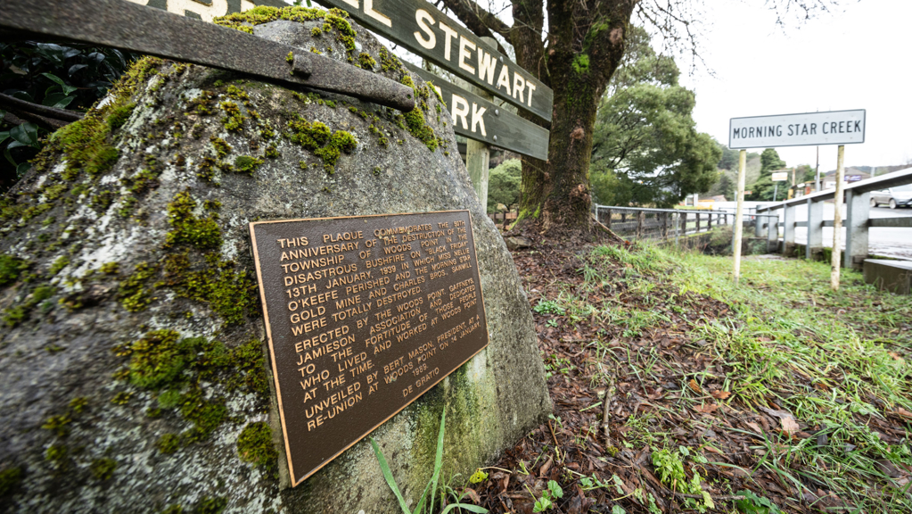 A plaque on a rock by a road, grass and moss grow nearby.