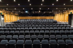 Theatre seating