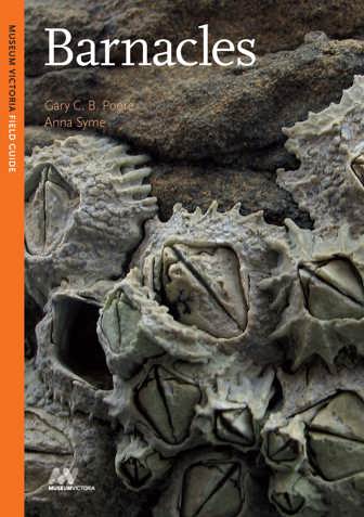 Cover of marine field guide Barnacles
