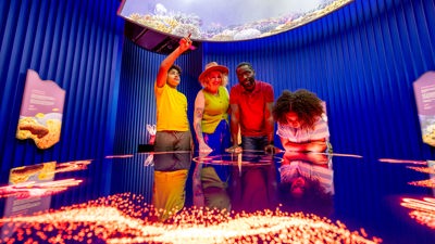 Adults and children using an interactive touch screens, with animal exhibit behind them.