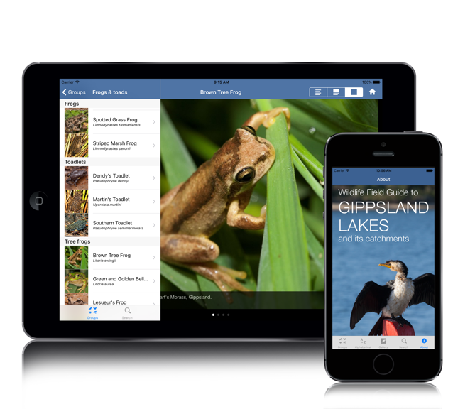 App shown on a tablet and phone