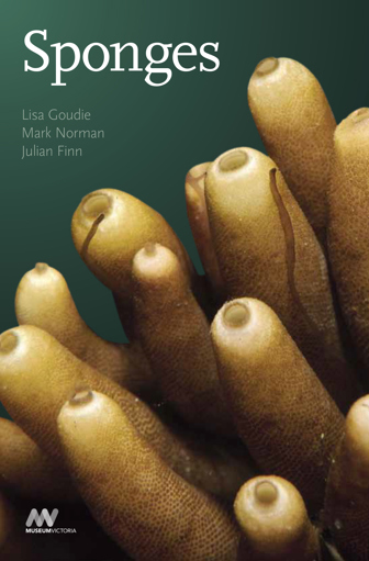 Cover of Museum Victoria field guide Sponges