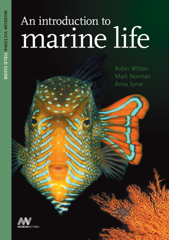 Cover of An Introduction to Marine Life