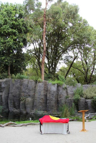 An Aboriginal flag draped over a coffin
