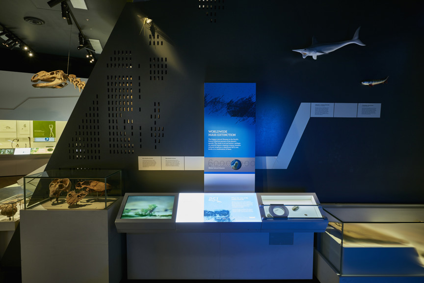 251 million years ago / 'Worldwide mass extinction' section of 600 Million Years exhibition 