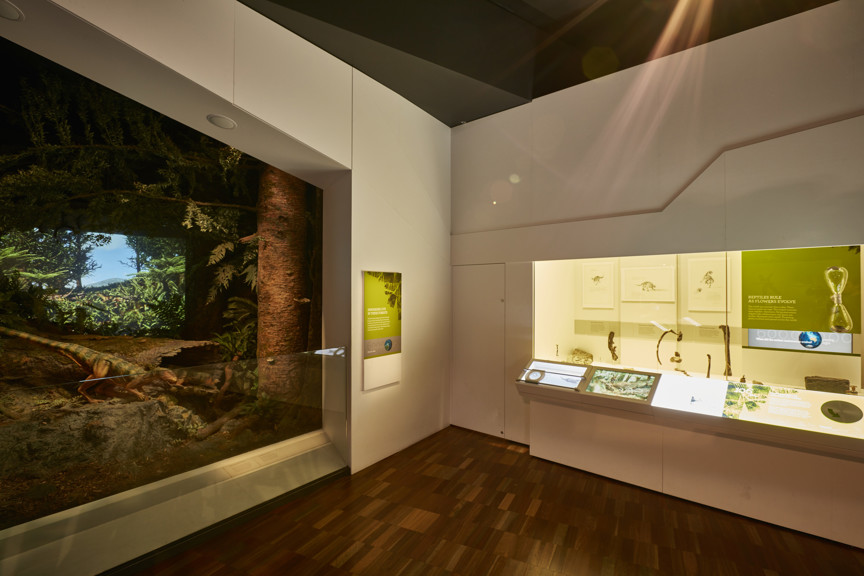 115 million years ago and 106 million years ago sections of 600 Million Years exhibition