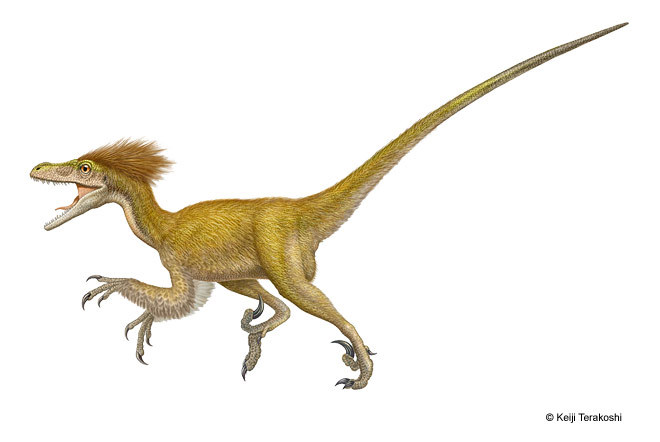 Illustration of a dinosaur