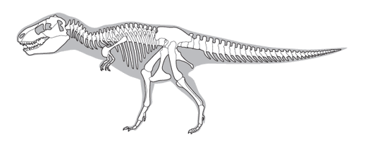 Line drawing of a dinosaur skeleton