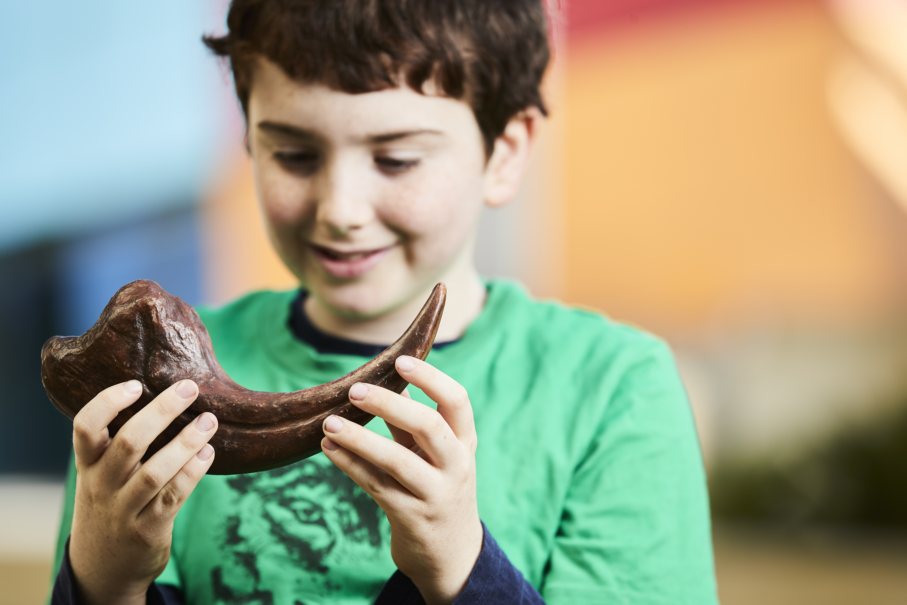 Young  boy holding a dinosaur fossil