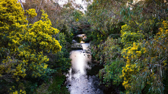 Almost spring, the Merri Creek between Brunswick and Northcote in Melbourne, Victoria