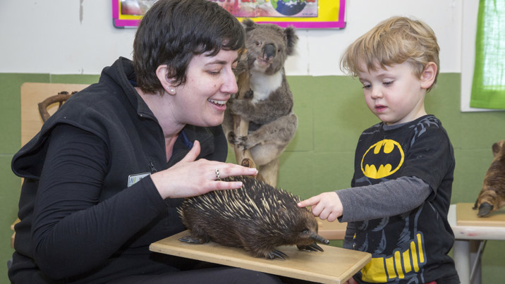 Woman and a boy looking at a stuffed echidna