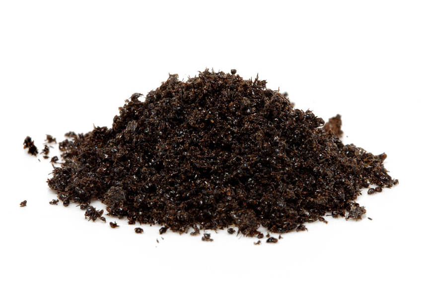 Broken up pile of lizard poo