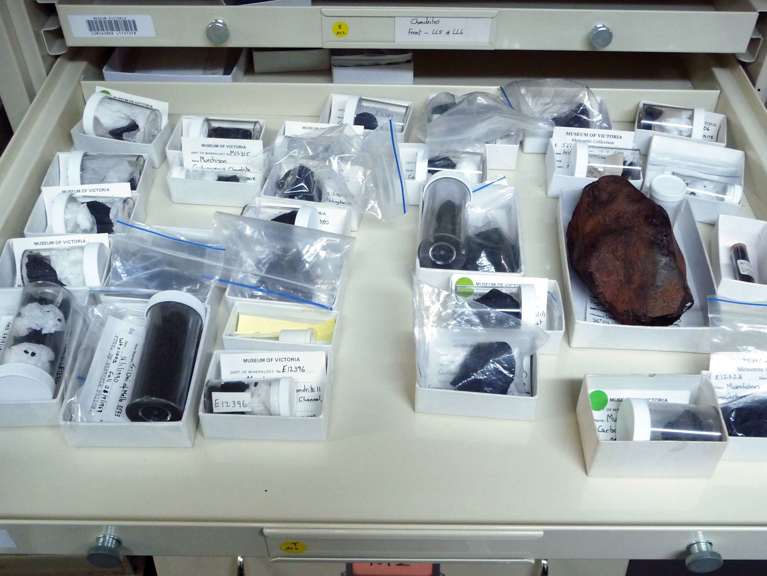 Museum store drawer