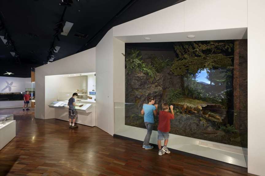 children in a museum gallery