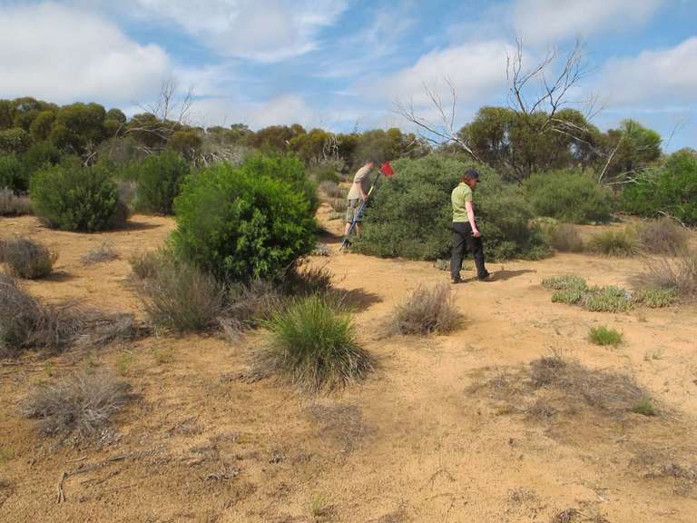 Researchers in the field