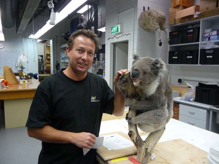 man with taxidermied koala
