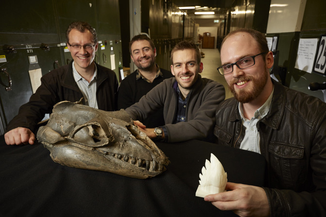 Four men with a fossil skull and tooth model
