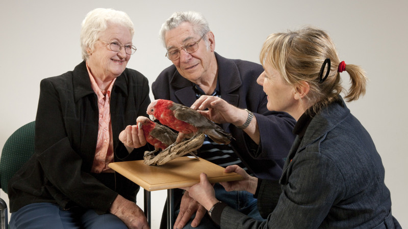 A woman showing stuffed birds to two elderly people