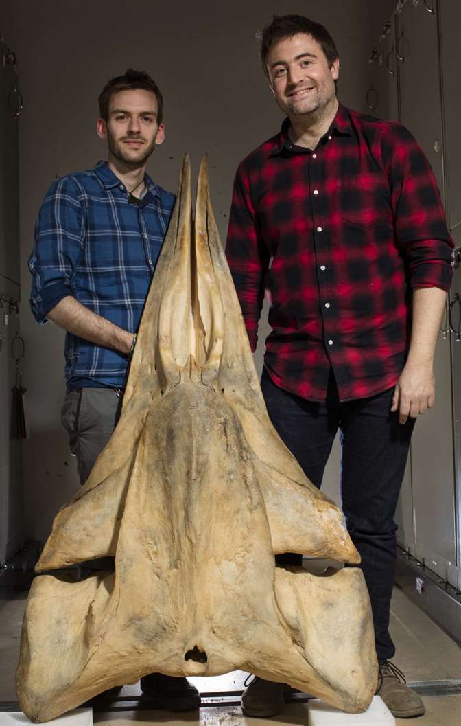 Two men with a whale skill