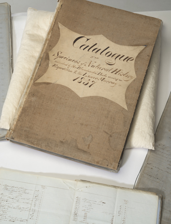 An old bound book ("Catalogue") lies on a pillow, closed. Another book is partially visible, and open, below it.