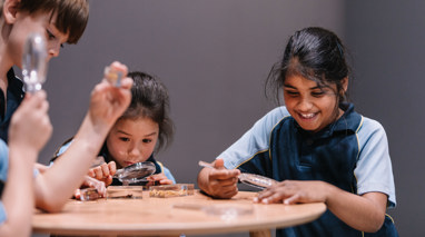 Primary school students using magnifying glasses during a bugs education program at Melbourne Museum