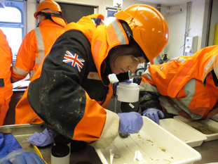 Melanie Mackenzie looking at marine invertebrates with a microscope during a Antarctic research voyage.