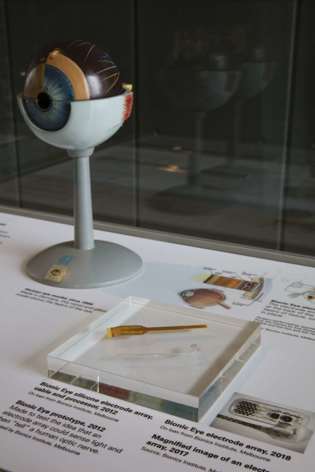 medical models and equipment in a museum display