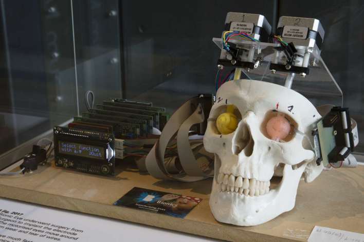 skull with testing equipment attached