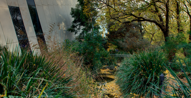 The Plants of Milarri Garden