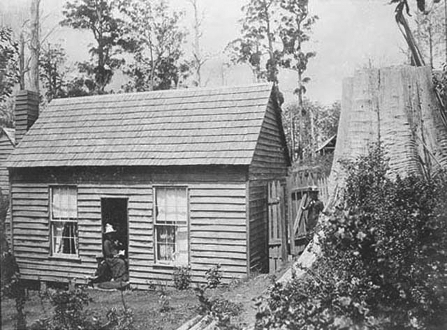 Small house next to massive tree stump.