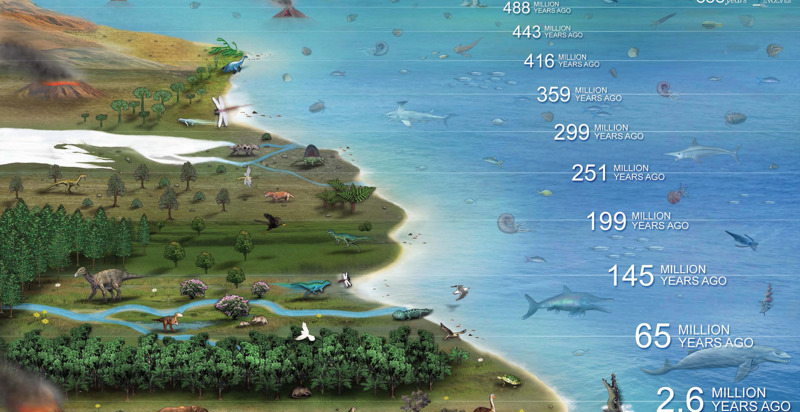 600 Million Years: Victoria Evolves