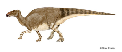 Illustration of a dinosaur