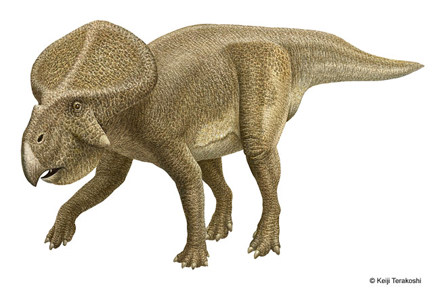 Illustration of a armoured dinosaur