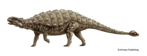 Illustration of a armoured dinosaur