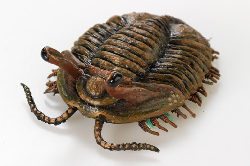Model of a slater-like creature