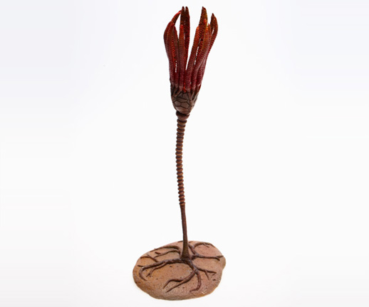 Model of the crinoid (sea lily), Periechocrinus moniliformis