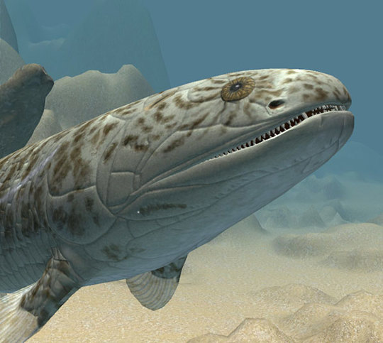 Animation still of the Gogonasus andrewsae (Gogo fish)