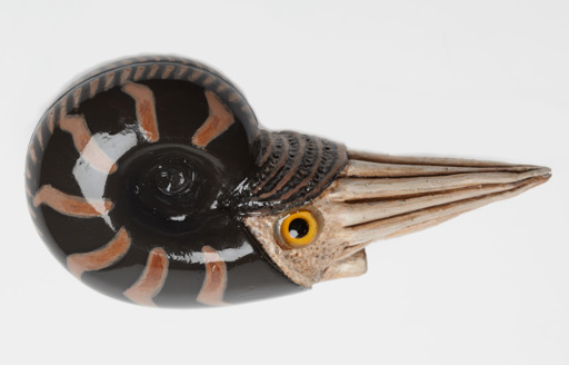 Model of an extinct cephalopod from the Carboniferous period