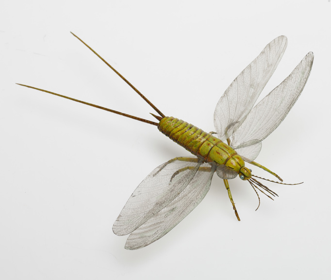 Model of Palaeodictyoptera, an extinct Palaeozoic insect