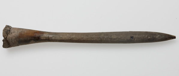 Belemnites semihastatus fossil from the late Jurassic period