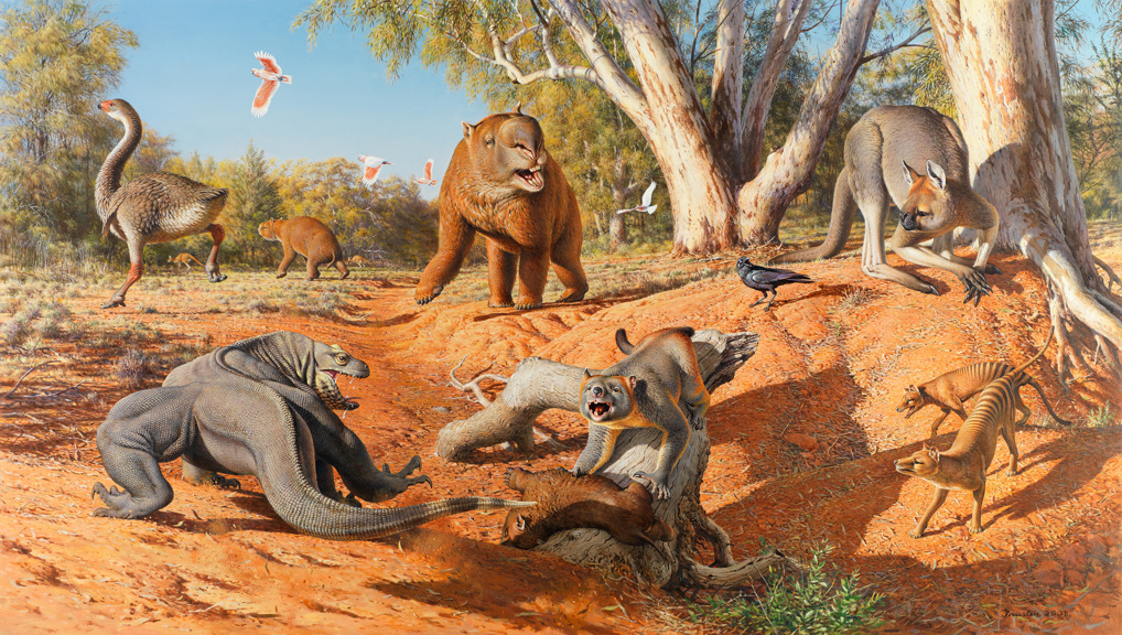 Painting of megafauna in landscape, including Genyornis newtoni, Diprotodon optatum, Procoptodon goliah, Megalania prisca, Thylacoleo carnifex and Thylacinus cynocephalus