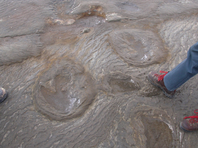 Fossilised megafauna footprints