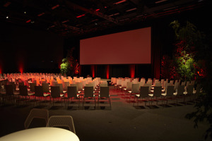 Theatre style function set-up