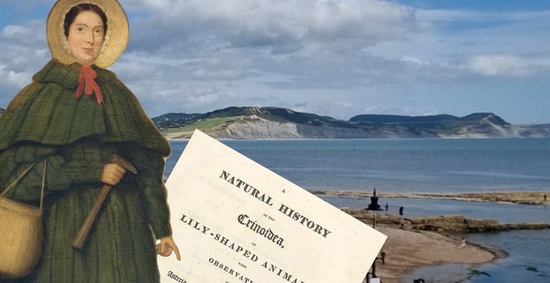 A new chapter for Mary Anning’s ‘lost’ book