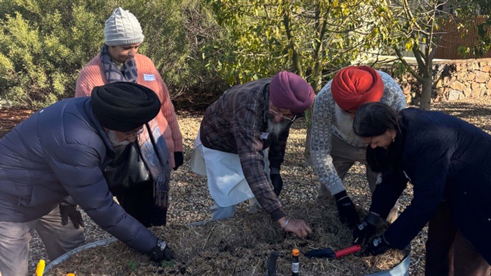 A group of men plant in a planter box