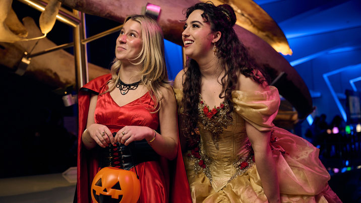 Two women dressed as Belle from Beauty and the Beast, and a vampire, stare at the skeleton of a pygmy blue whale.