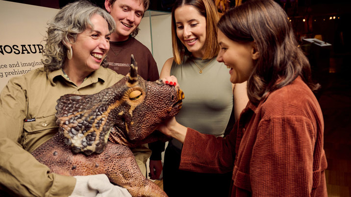 People meeting baby triceratops during Adult Museum Sleepovers at Melbourne Museum.