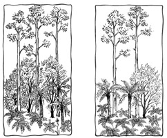 Two sketches side-by-side, one showing a lush forest and the other showing the effects of deforestation.