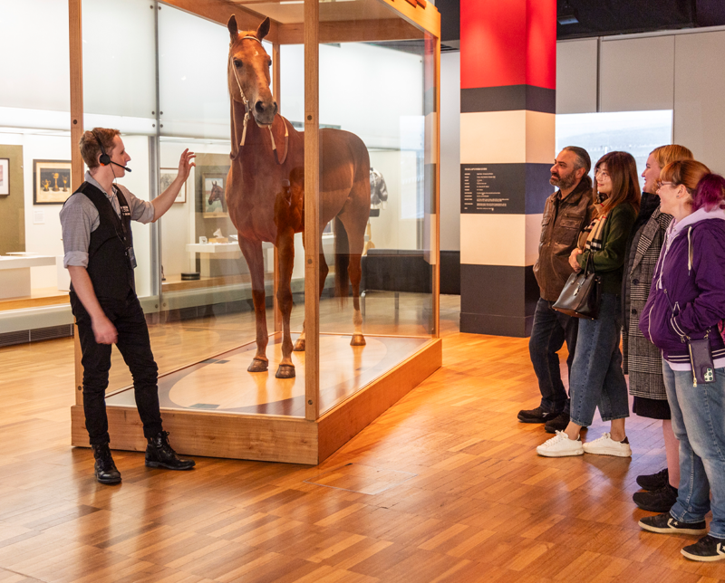 Museums Victoria Tours