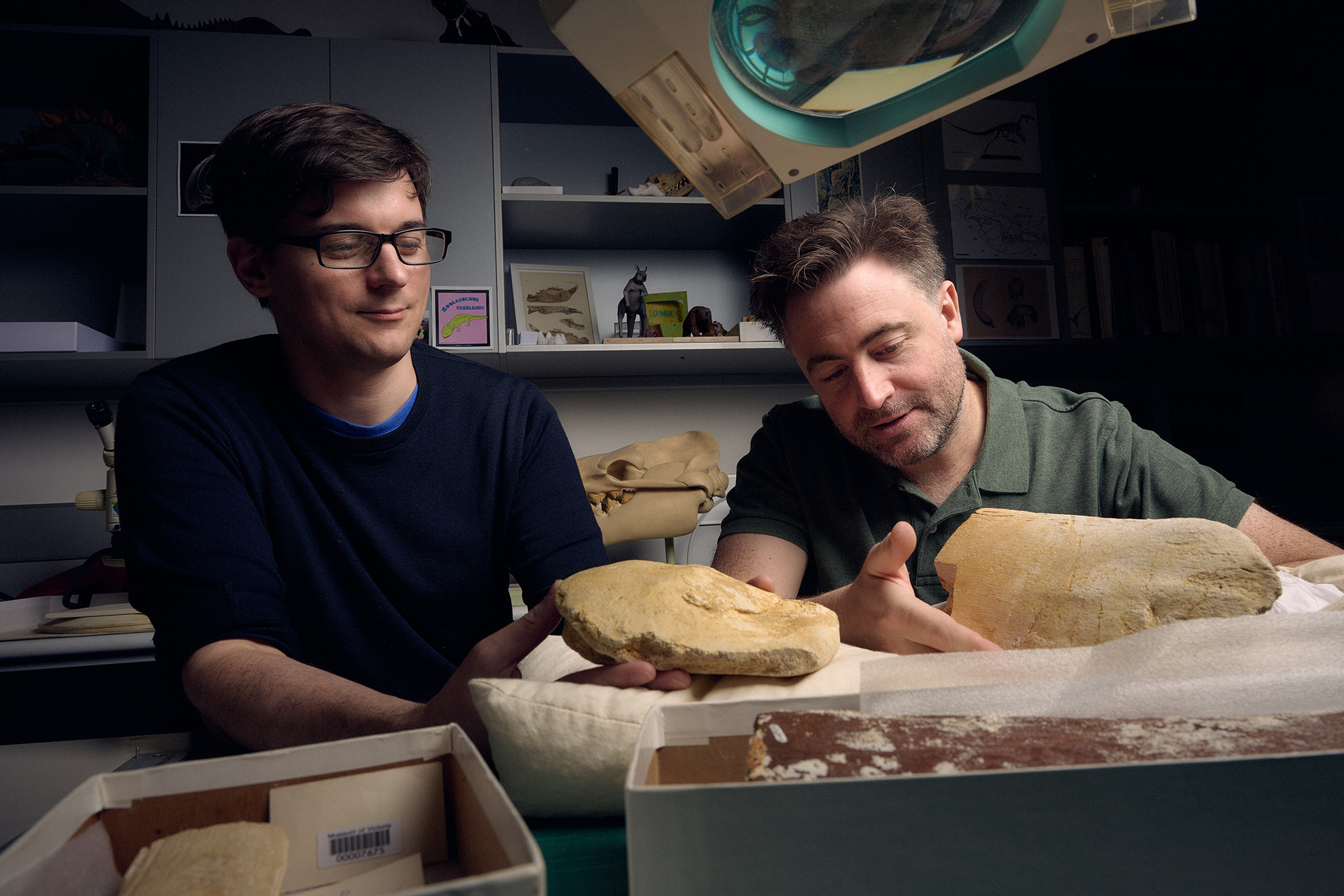 two men holding yellow coloured fossil bones in a laboratory